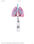 Glitter Acrylic Plastic  Badge Holder for Healthcare workers